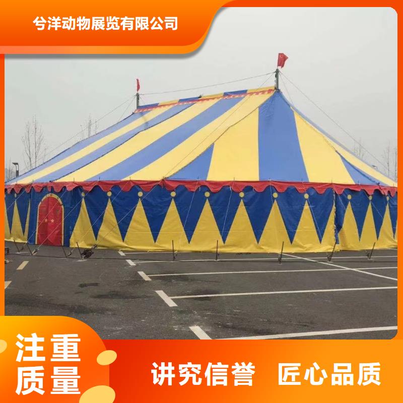 羊驼出租
