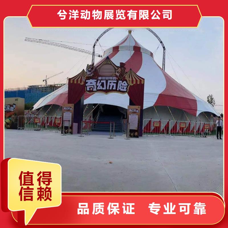 租赁马戏团表演全国承接