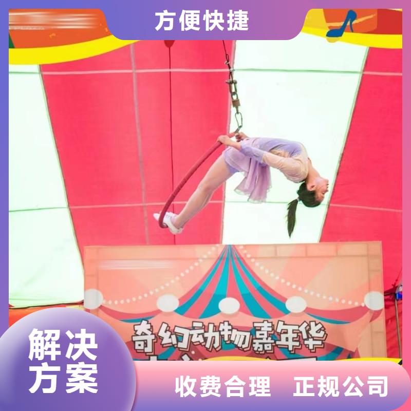 马戏团/羊驼-海狮表演出租快捷