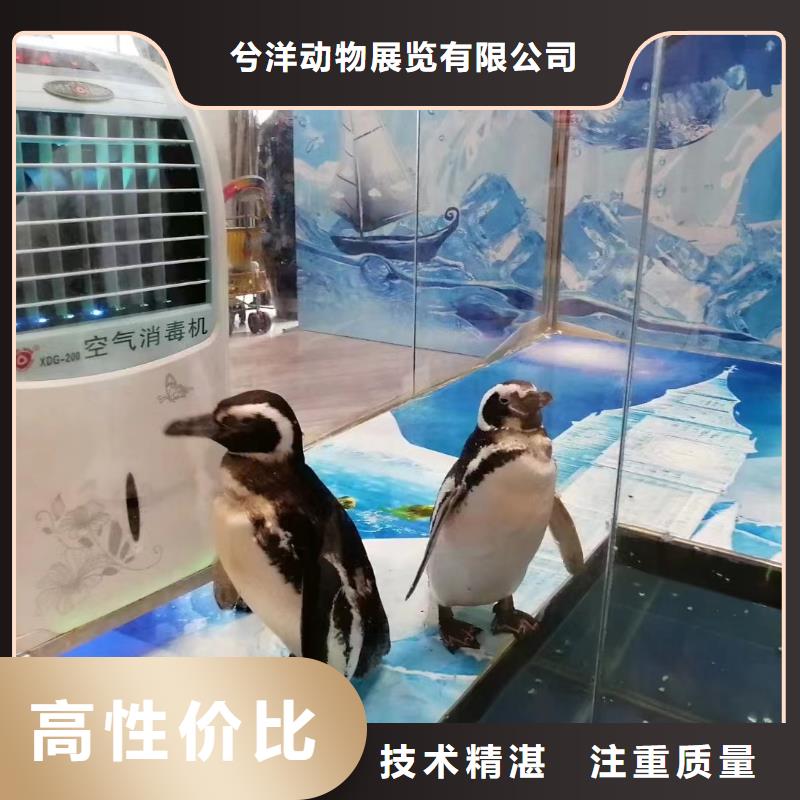 海洋展出租免费资源
