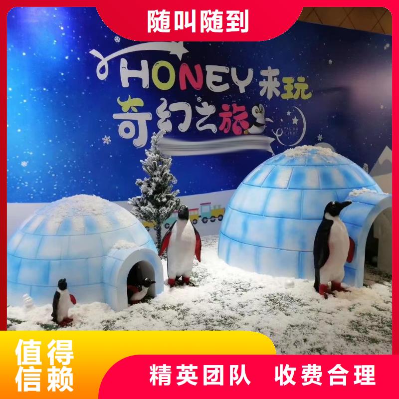 【海洋主题动物表演】吉祥百鸟展随叫随到