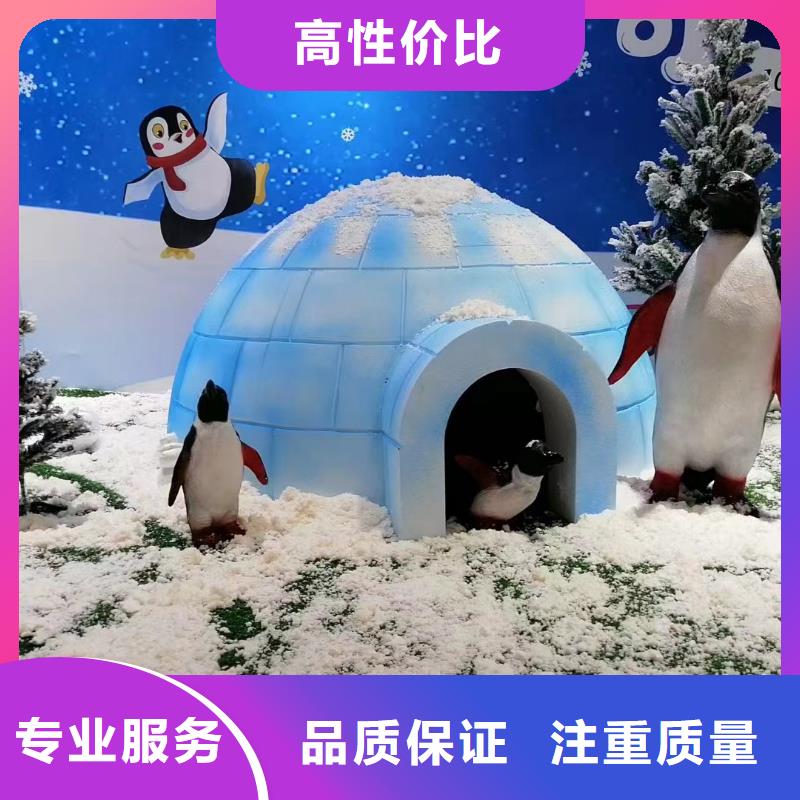 海狮表演出租图片