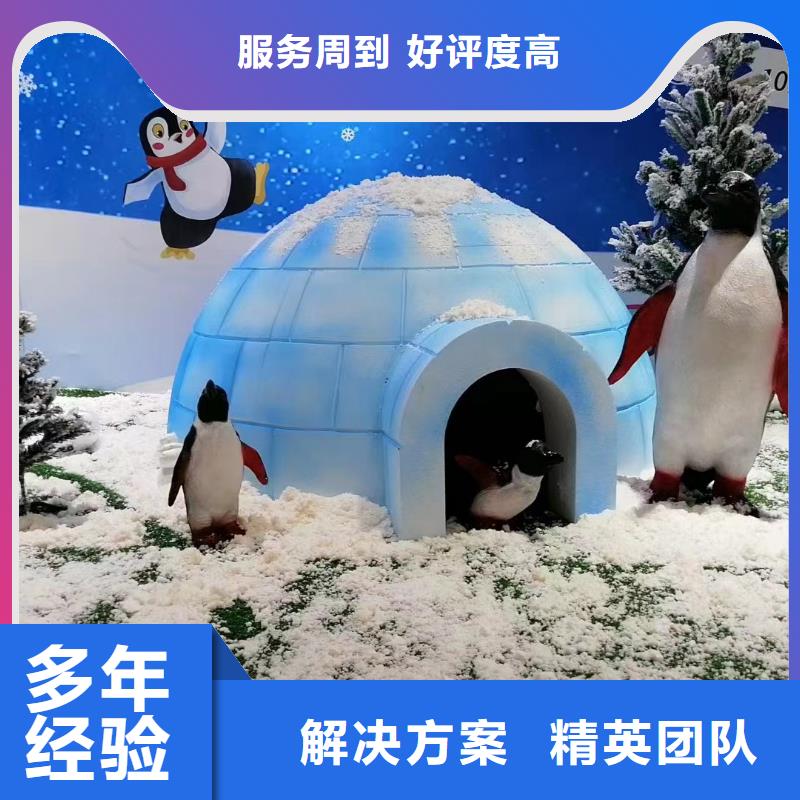 租赁海狮表演联系我们