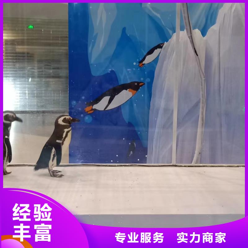 租赁美人鱼表演暖场氛围