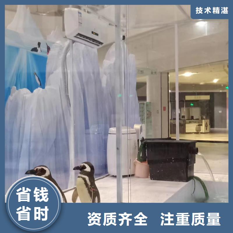 企鹅出租