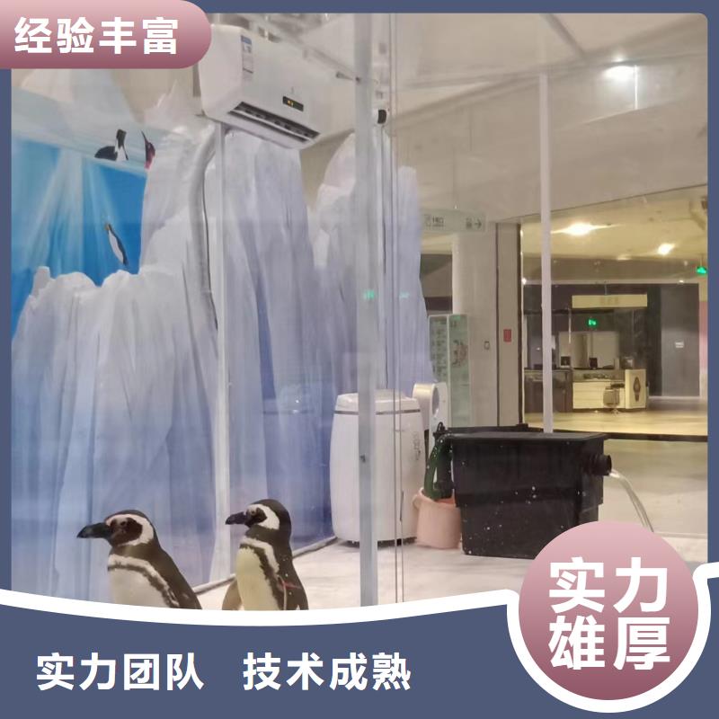 美人鱼表演租赁一手资源