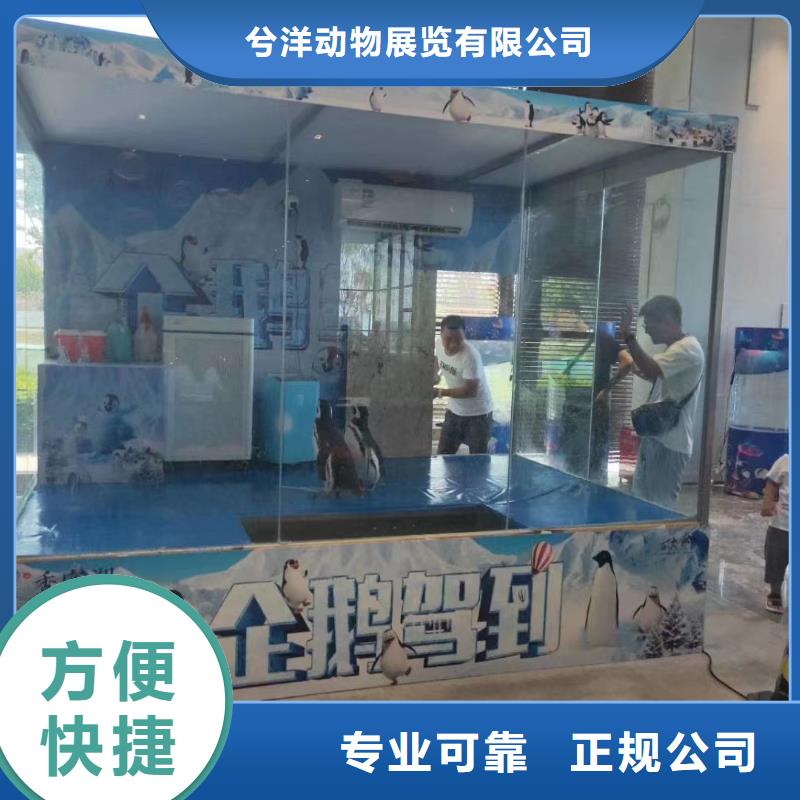 海洋生物展出租图片