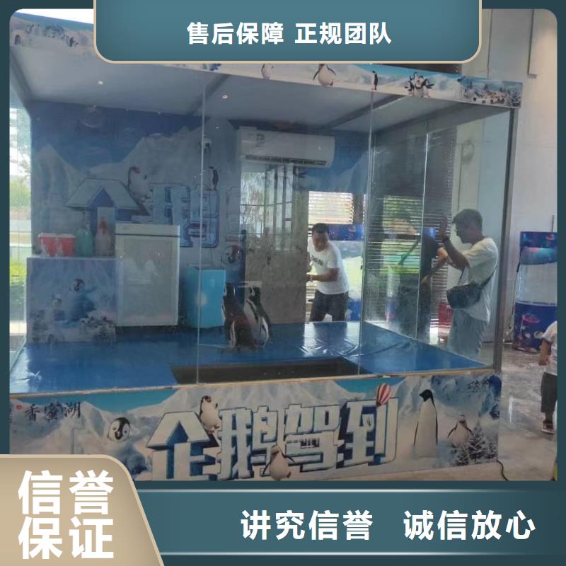 海洋主题动物表演羊驼出租售后保障