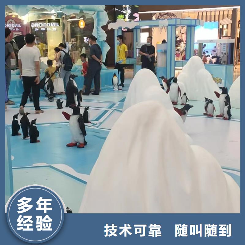 海洋主题动物表演马戏团表演信誉保证