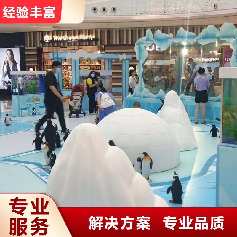 哪有出租美人鱼表演的免费资源