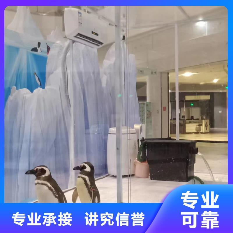 哪里有出租企鹅的主题展览