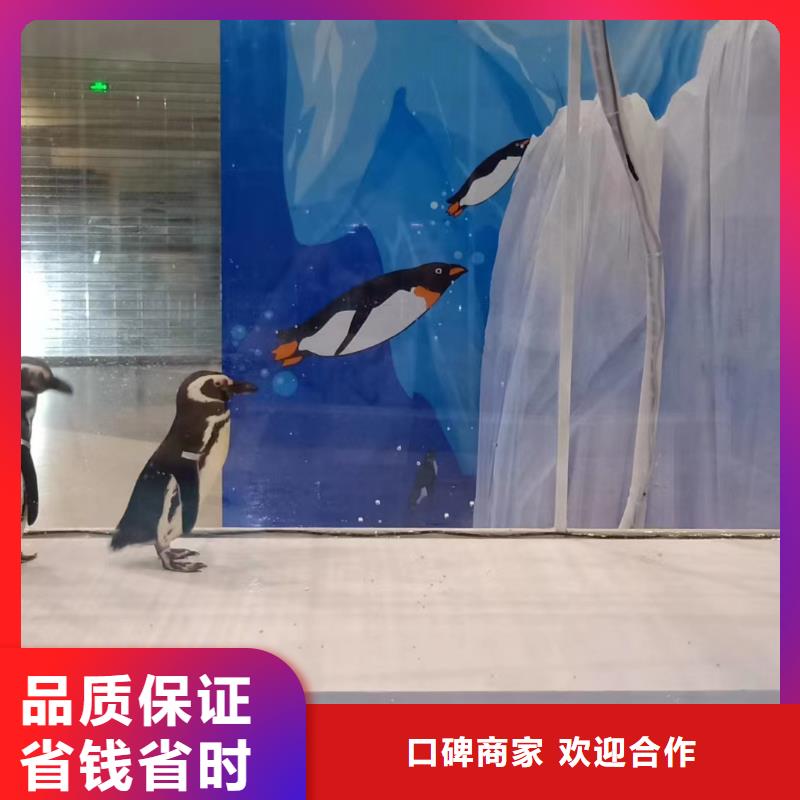 鳄鱼表演租赁