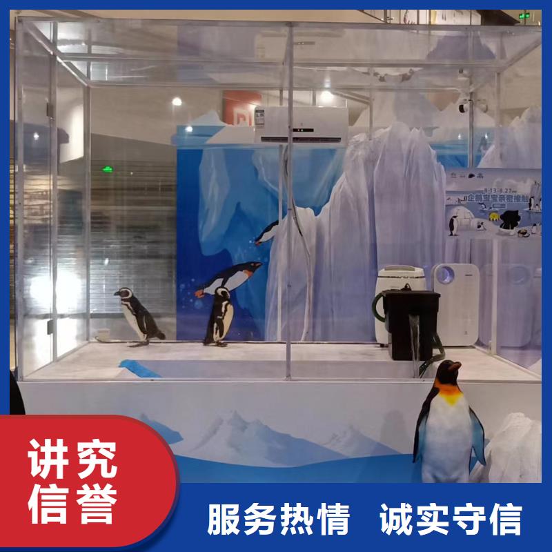 海洋展租赁