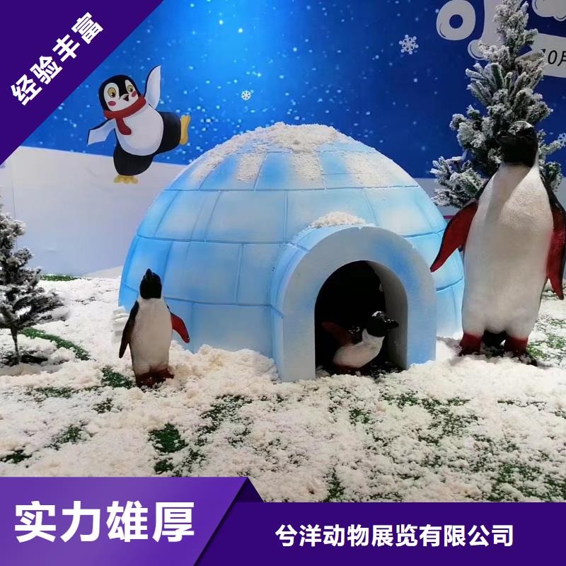 海洋展租赁