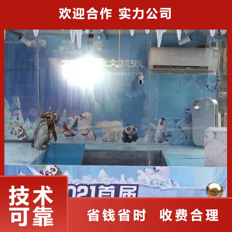 海洋主题动物表演企鹅租赁解决方案