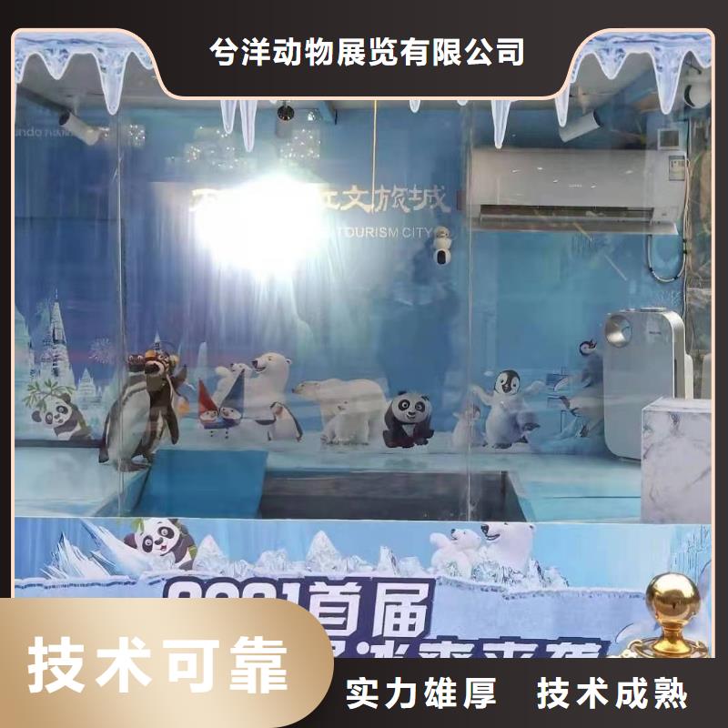 海洋生物展租赁哪里有