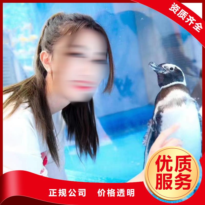 美人鱼表演租赁联系方式