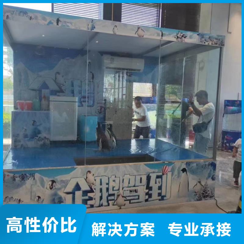 海洋展租赁暖场气氛