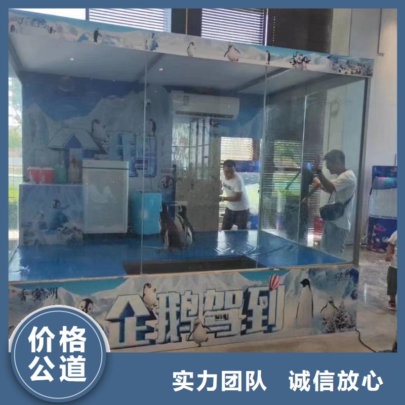 企鹅租赁期待与您合作