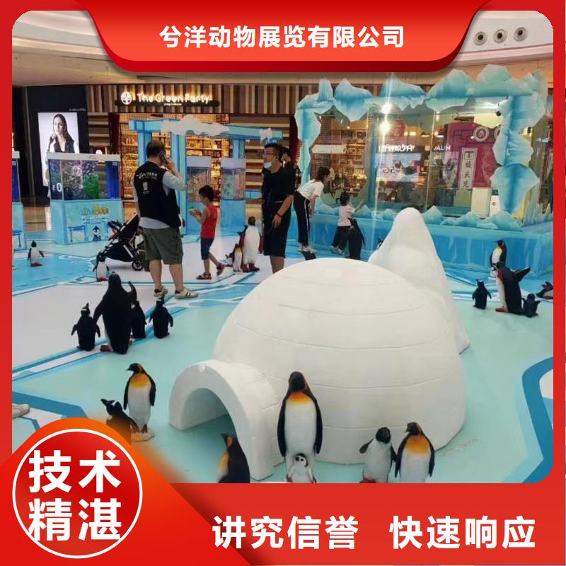 海狮租赁公司活动庆典