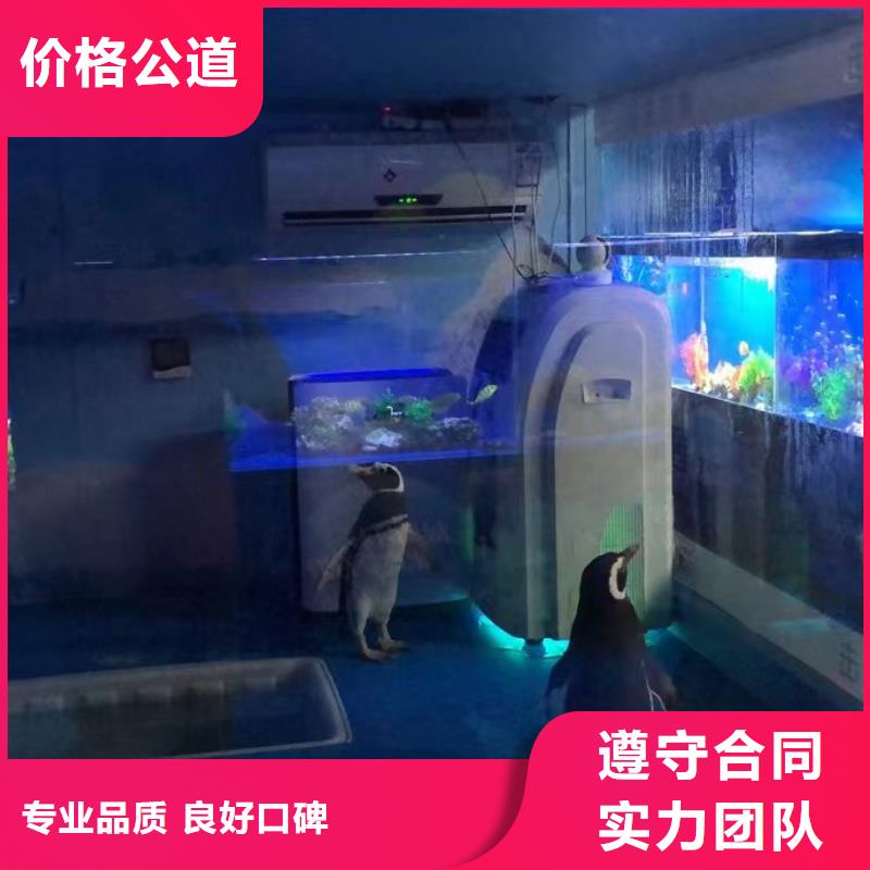哪有出租美人鱼表演的暖场氛围