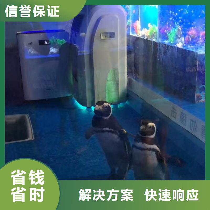 海洋生物鱼缸展租赁一手资源
