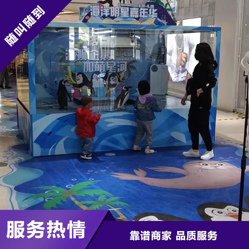 海洋主题动物表演-死轮表演服务周到