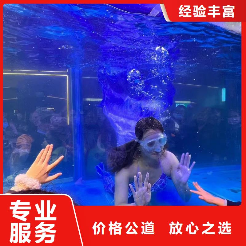 哪里有租赁海狮表演的活动庆典