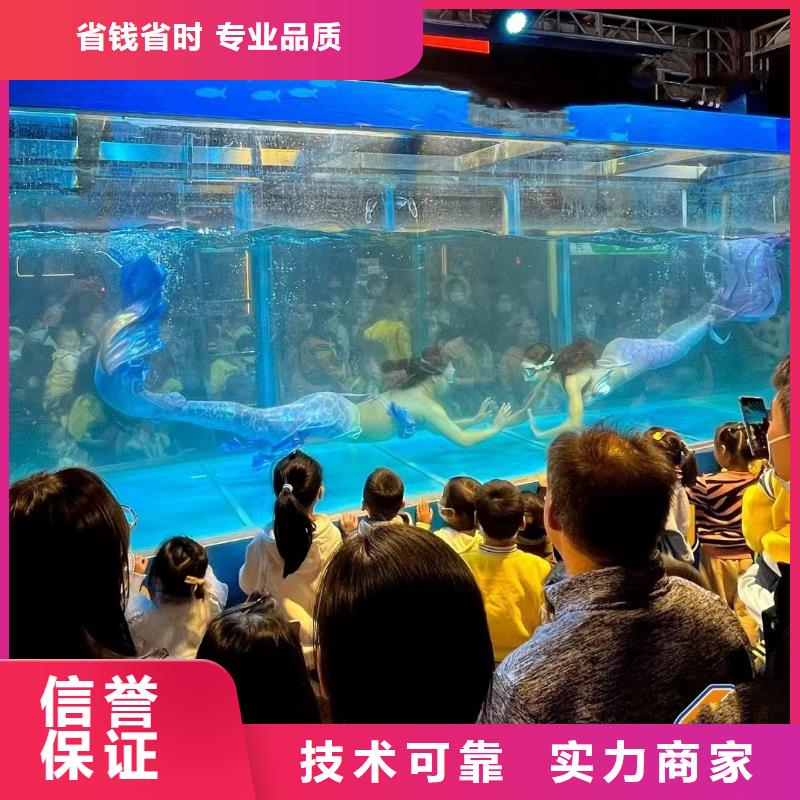 活体企鹅租赁公司活跃气氛