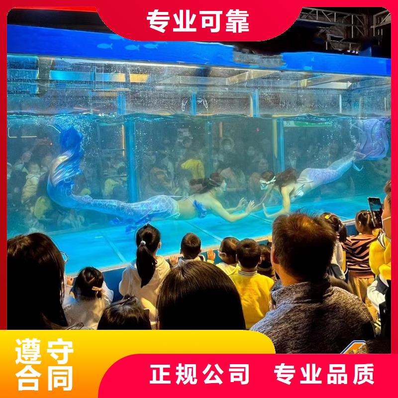 海狮表演租赁免费策划