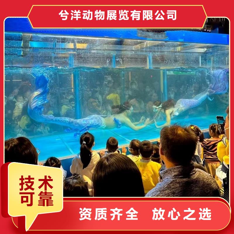 海洋展租赁附近