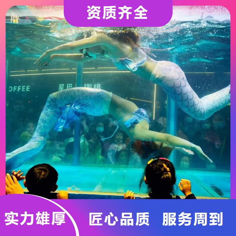 海洋主题动物表演出租表演萌宠技术精湛