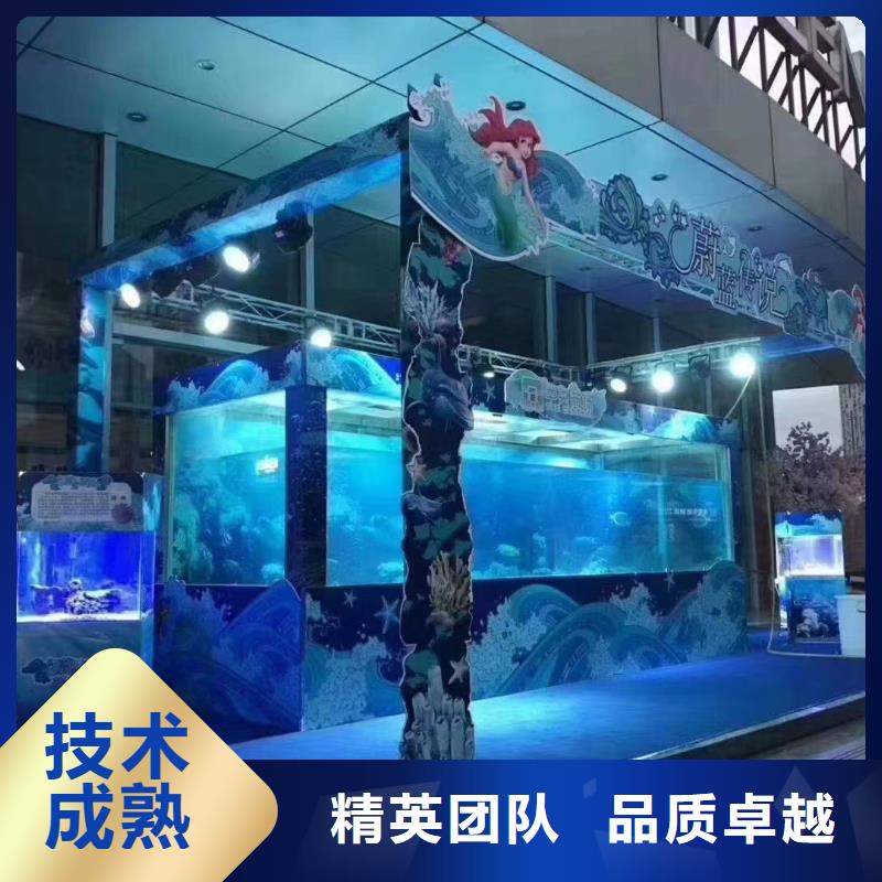 海狮表演出租暖场氛围