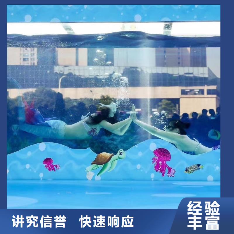 租赁海狮表演一手资源