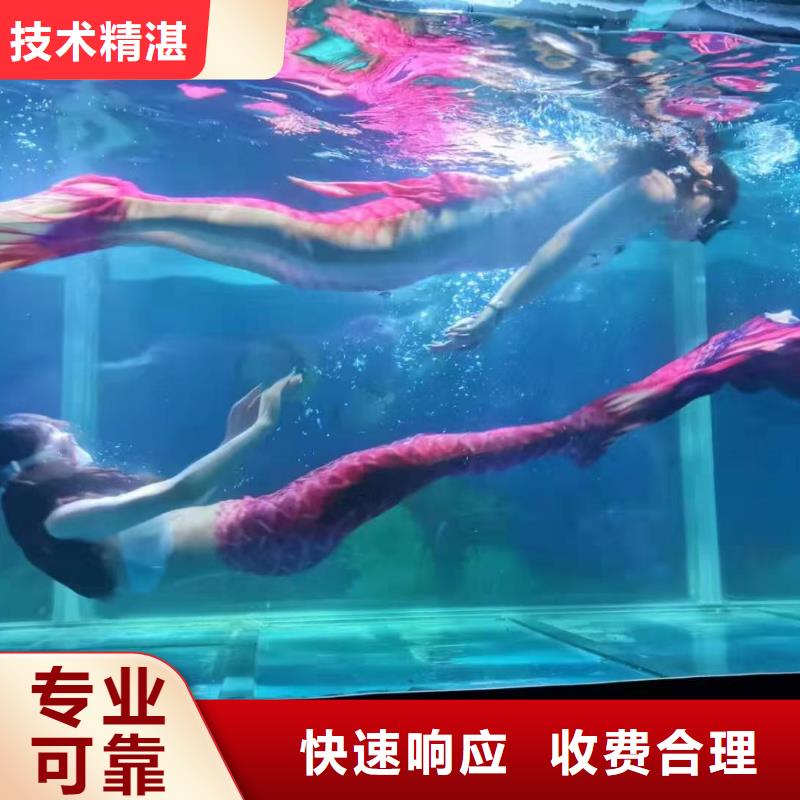 活体企鹅租赁公司活动庆典