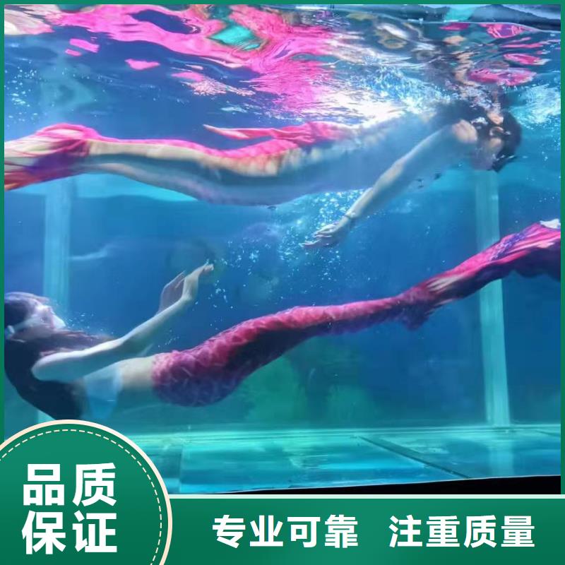 租赁海狮表演一手资源