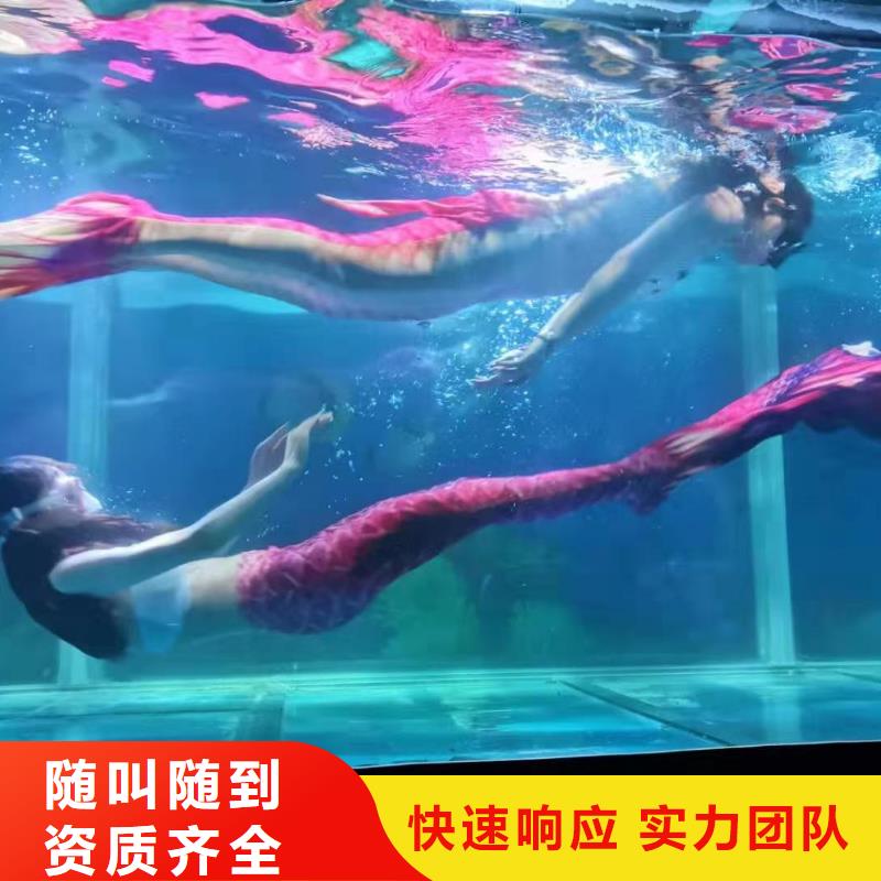 哪有出租美人鱼表演的免费资源