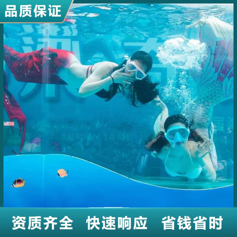 企鹅租赁公司