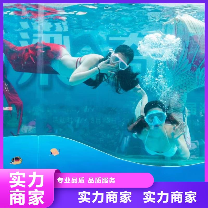 海洋主题动物表演羊驼出租售后保障