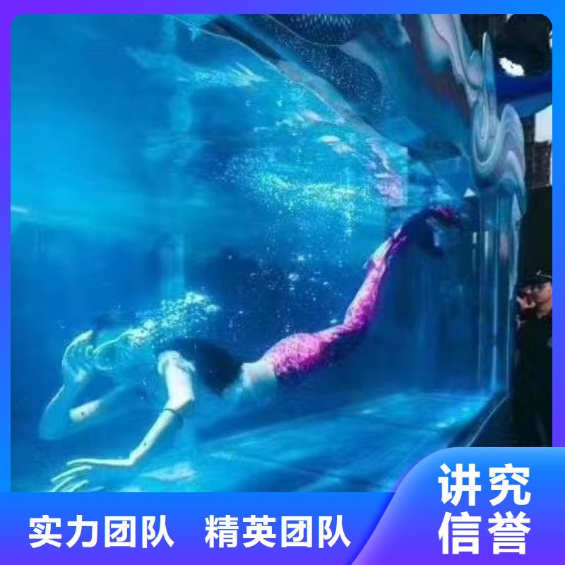 活体企鹅租赁公司活动庆典