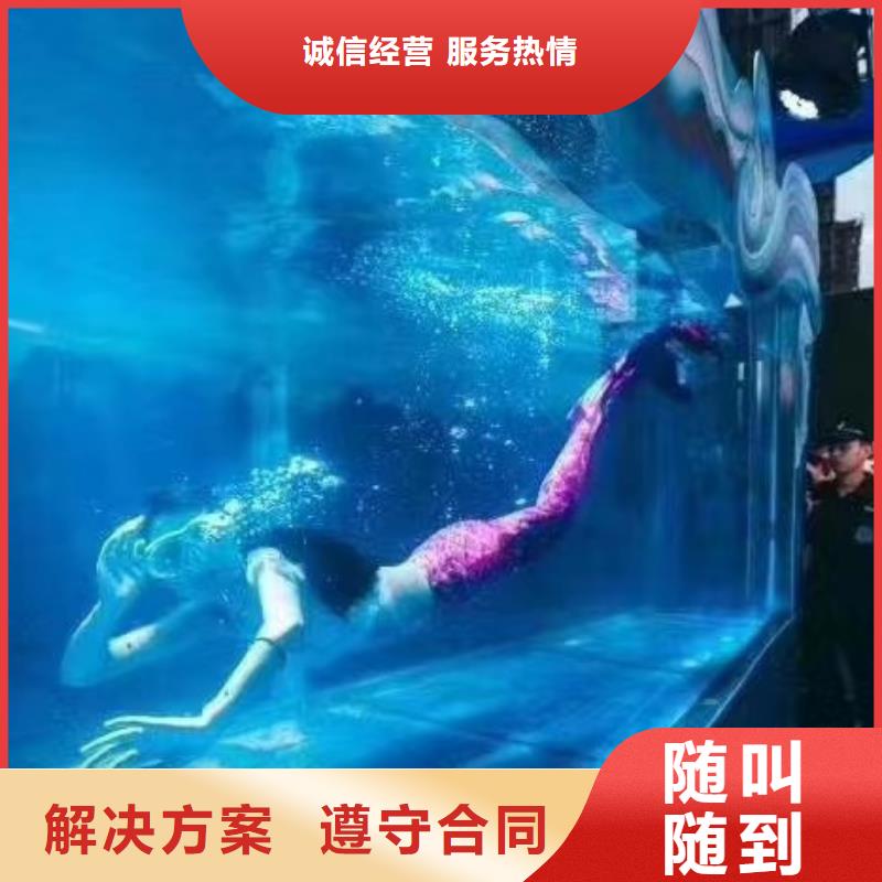 活体企鹅租赁公司活动庆典