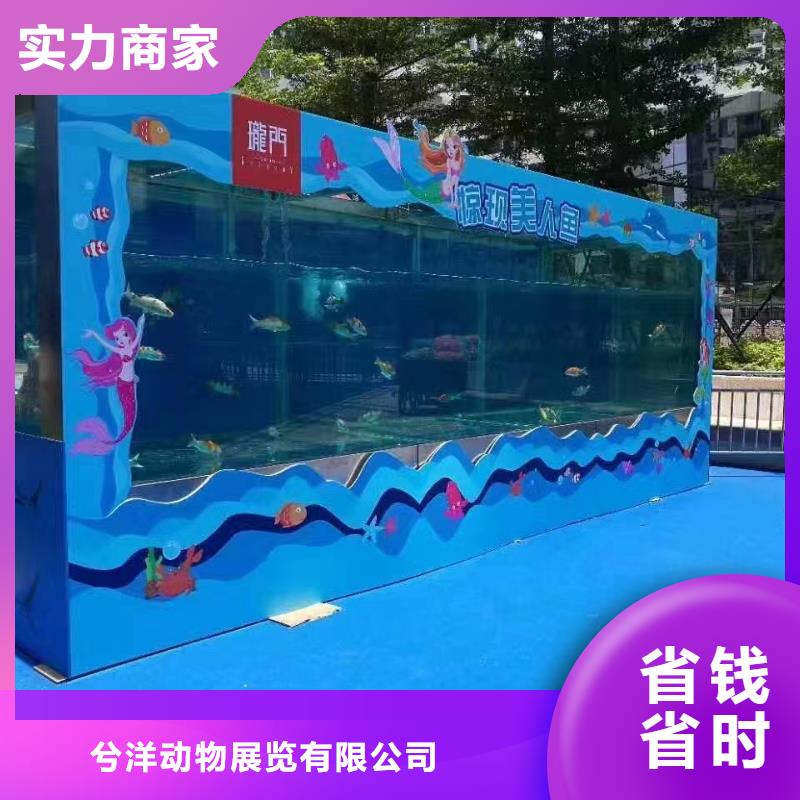 美人鱼表演租赁公司