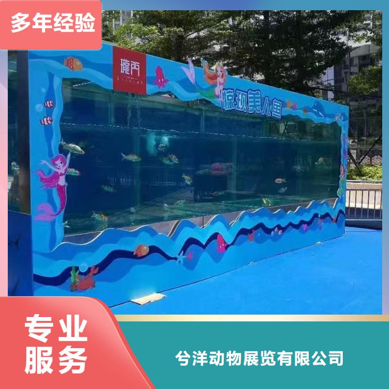 海洋生物展出租图片