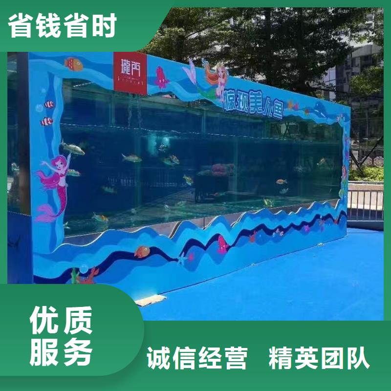 海洋主题动物表演【海狮表演出租】诚信