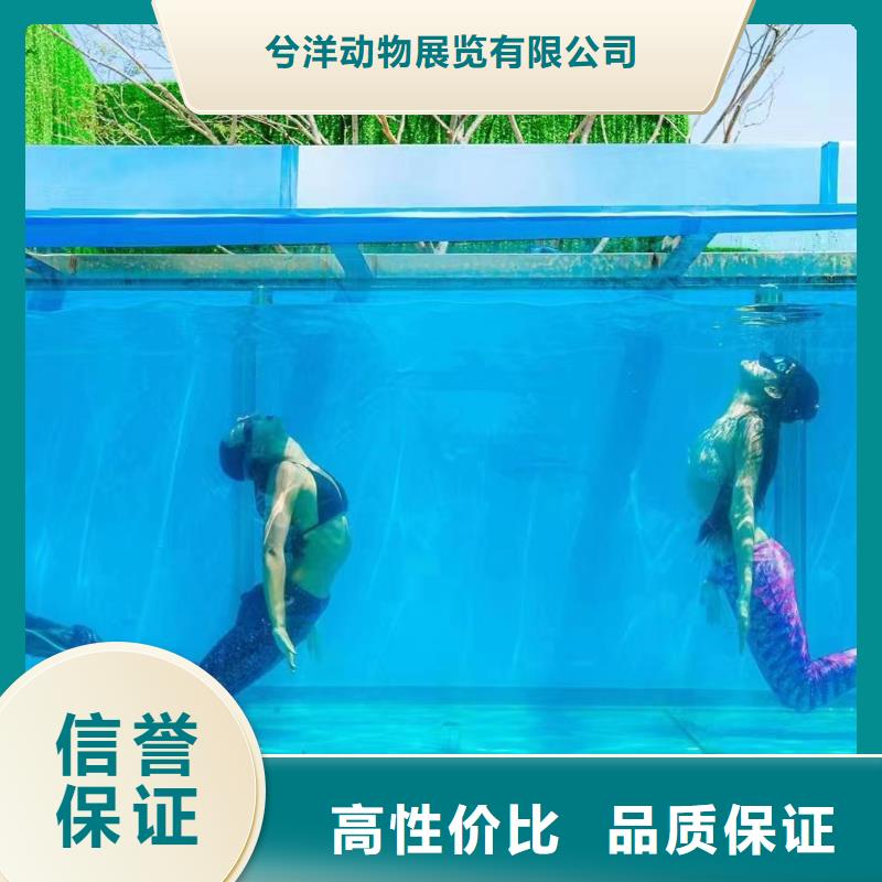 【海洋主题动物表演】吉祥百鸟展随叫随到
