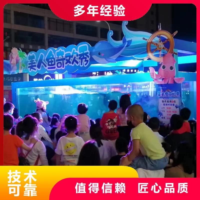 海洋主题动物表演海狮表演出租口碑公司