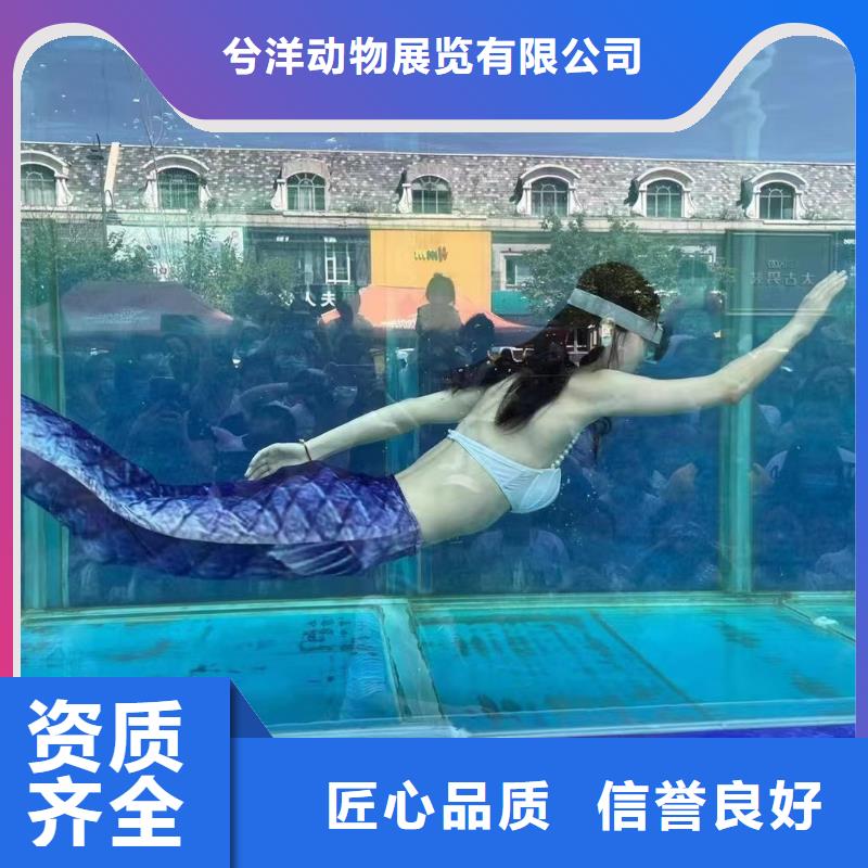 租赁海狮表演节日活动