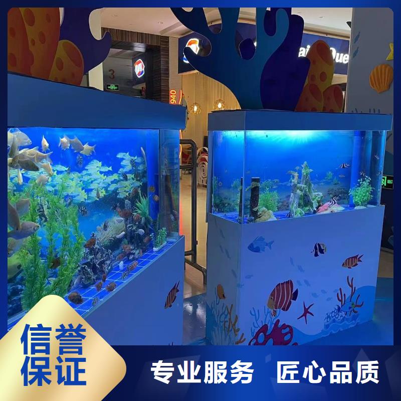 哪有出租企鹅的-哪有出租企鹅的欢迎选购