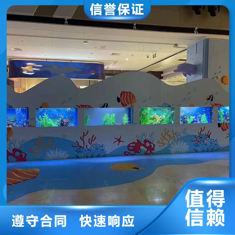 海洋主题动物表演海豚表演专业承接
