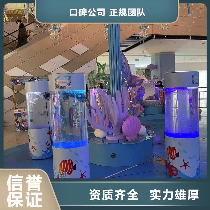 海狮表演租赁免费策划